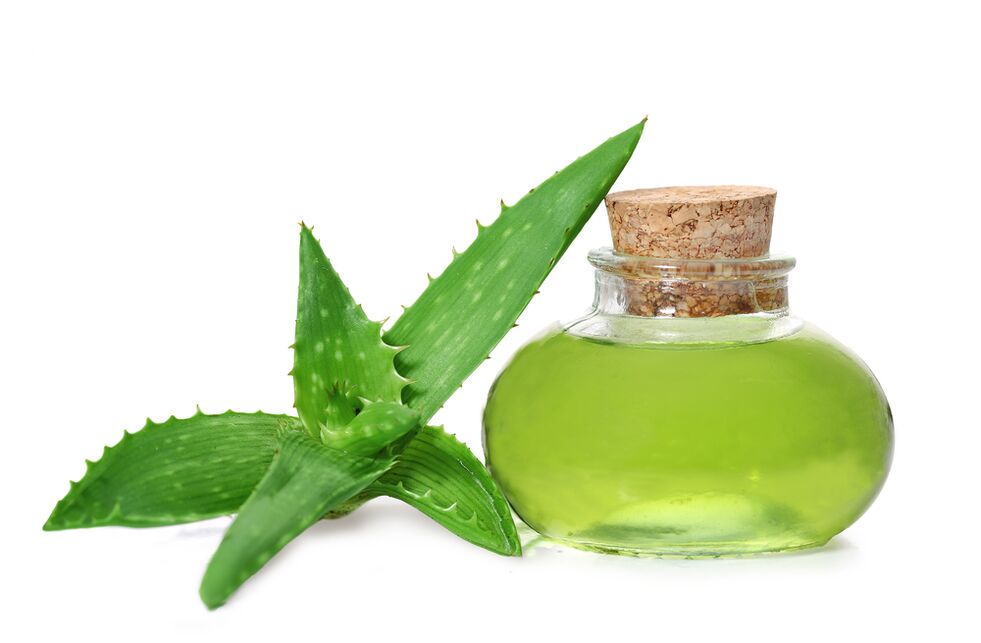 ekstrakt aloe - sastav kreme Proctonic